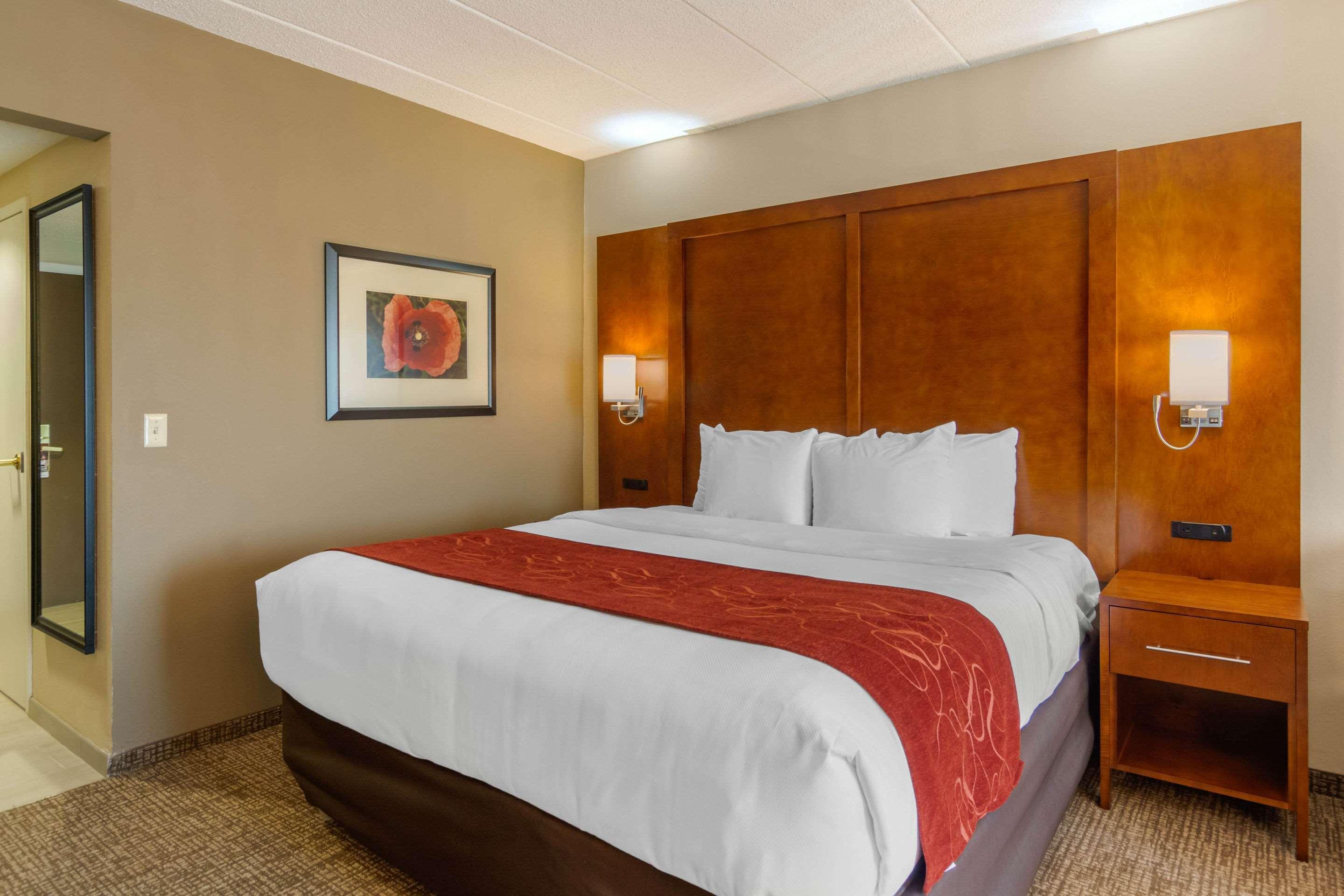 Comfort Suites Southpark Colonial Heights Exteriör bild